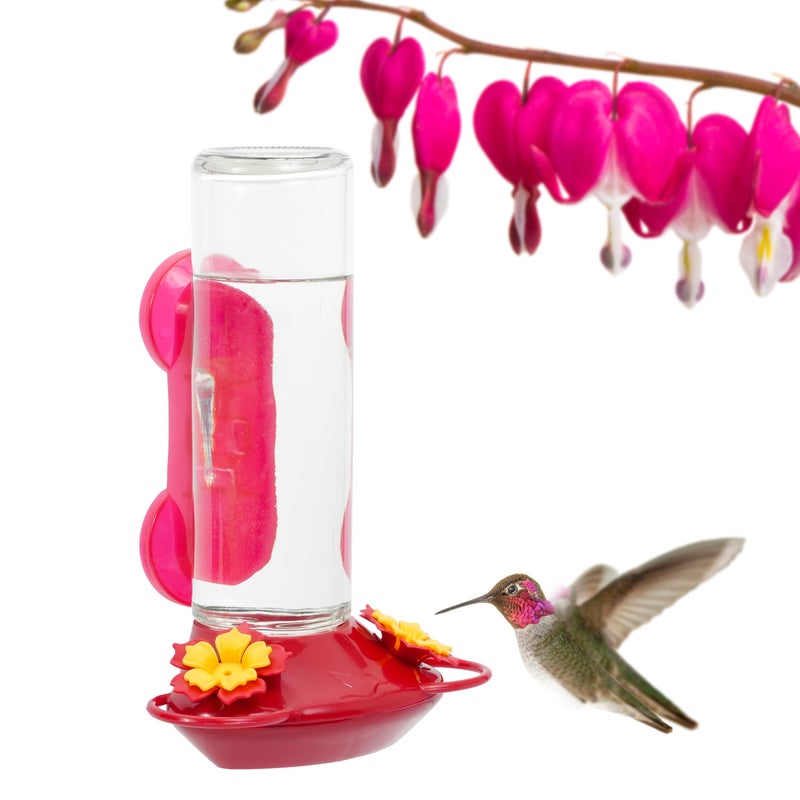 Perky-Pet Window-Mounted Glass Hummingbird Feeder - 14 fl oz Nectar Capacity - Entertaining Bird Watching - Glass Window Bird Feeder - 455-2 - Family Birdwatching - Image 1